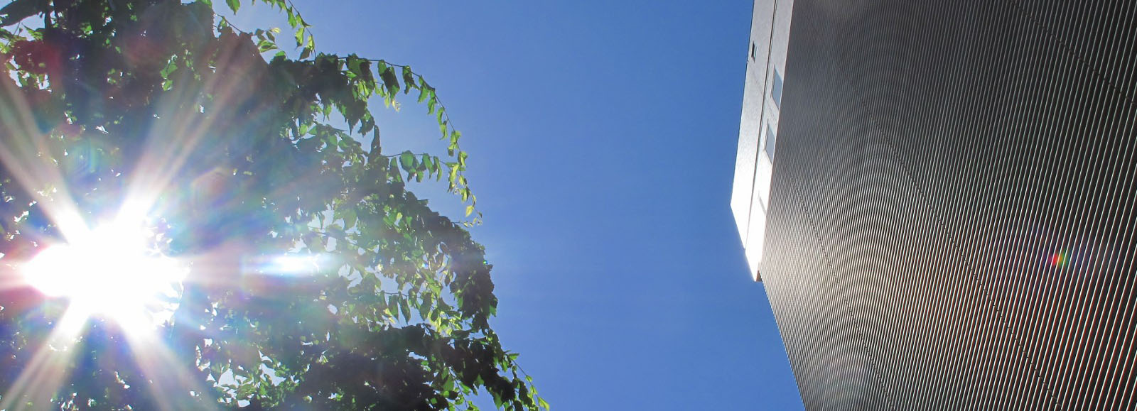 キャッチコピー